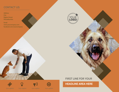 Animal Charity