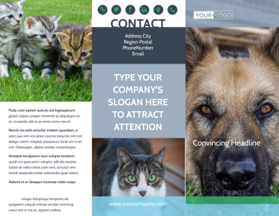 Animal Charities