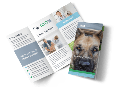 Animal Charities