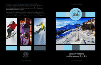 Top Ski Resort