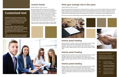 Lawyer Law firm Brochure Template Preview 2