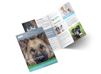 Animal Charities