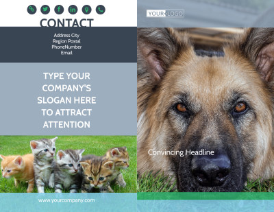 Animal Charities