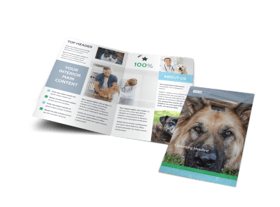 Animal Charities