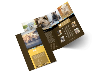 Main Animal Shelter & Pet Adoption    2 Image