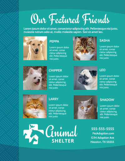 Animal Shelter & Pet Adoption   Side 2 Image