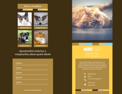 Animal Shelter & Pet Adoption