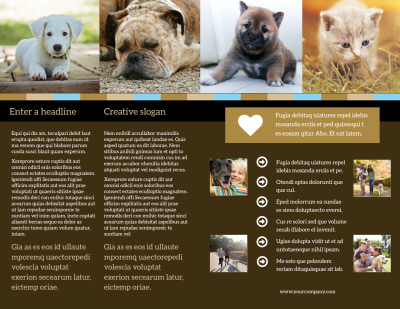 Animal Shelter & Pet Adoption Brochure Template Preview 2