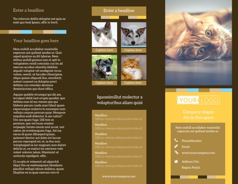 Animal Shelter & Pet Adoption Tri-Fold Brochure Template