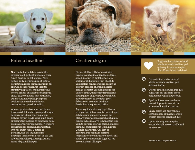 Animal Shelter & Pet Adoption Tri-Fold Brochure Template