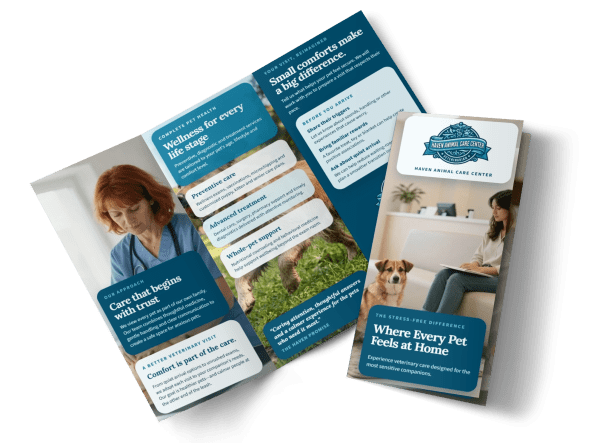 About Us Veterinarian