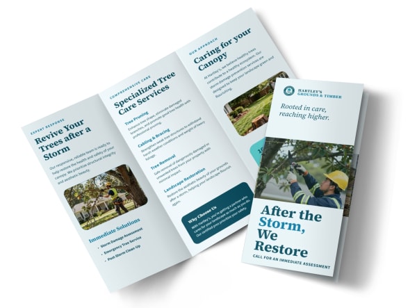 Main Storm Damage Tree Service Image