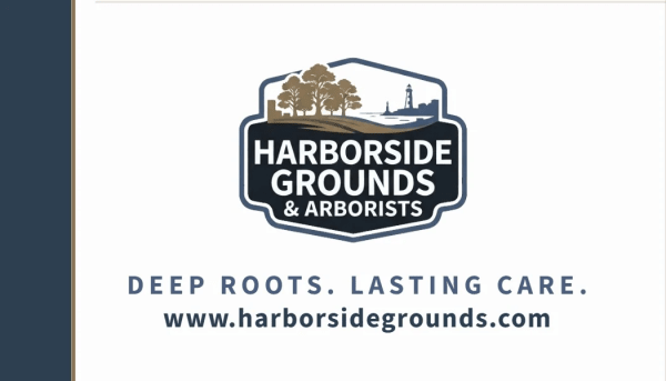 Commercial Tree Service Side 2 Image