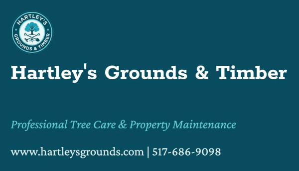 Residential Tree Service Side 2 Image