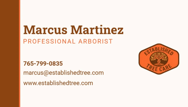 Services Offered Tree Service Side 1 Image