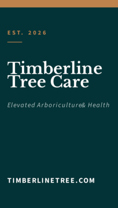Tree Service Side 2 Image
