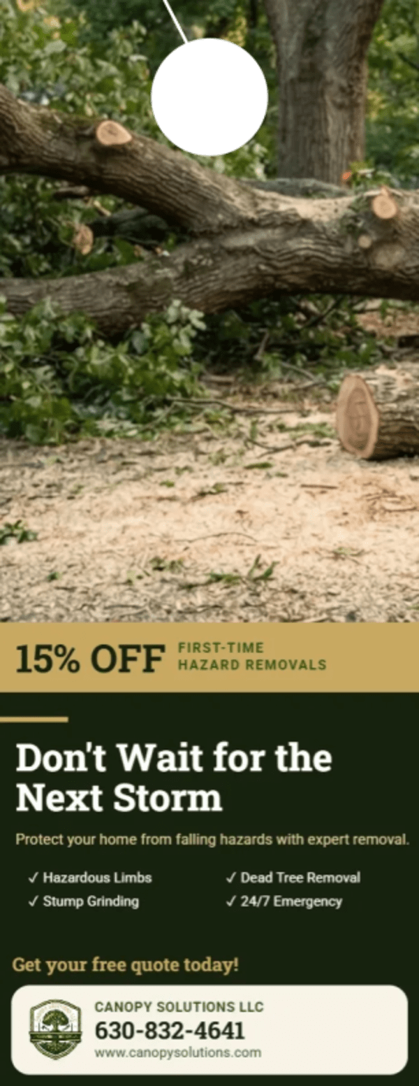 Tree Removal Landscaping Side 1 Image