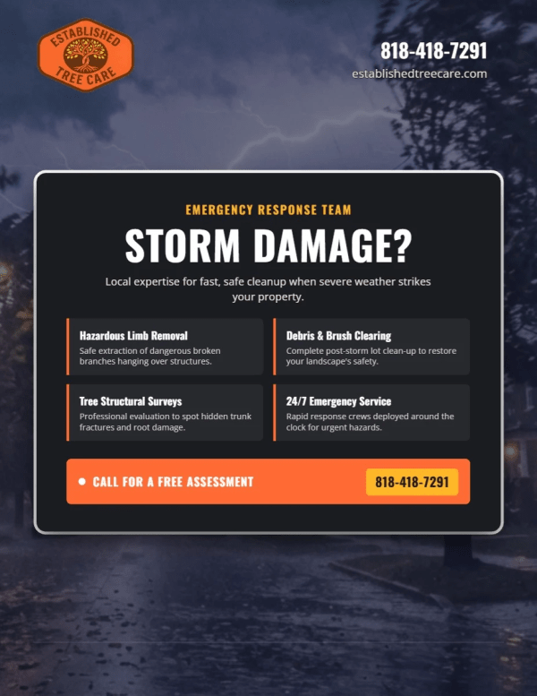 Storm Damage Tree Service Side 1 Image