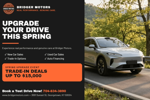 Car Dealer