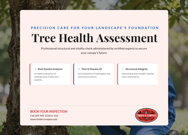 Health Assessment Tree Service Side 1 Image