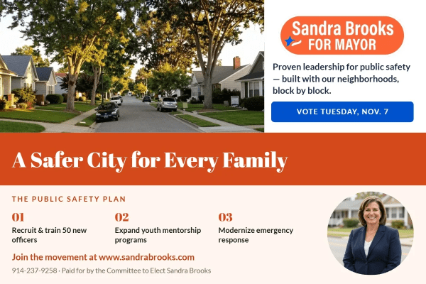 Mayor Campaign