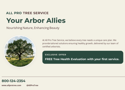 Planting Tree Service Side 2 Image
