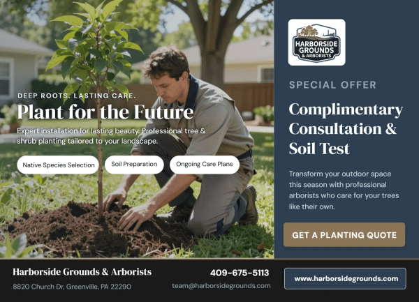Planting Tree Service Side 1 Image