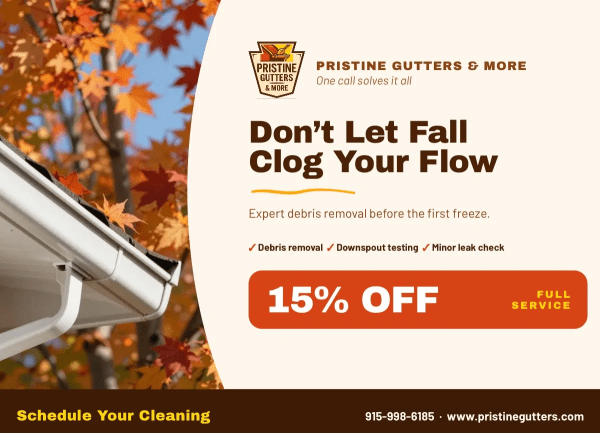 Seasonal Promotion Gutter Cleaning