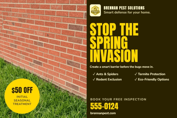 Seasonal Promotion Pest Control