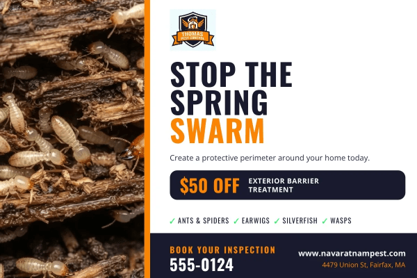 Seasonal Promotion Pest Control