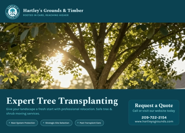 Transplanting Tree Service Side 1 Image