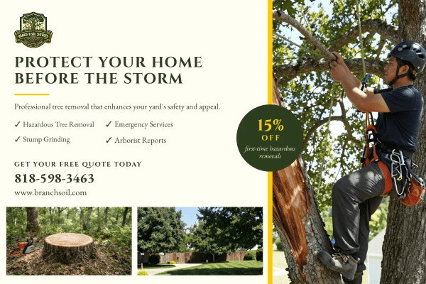 Tree Removal Landscaping