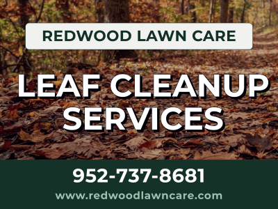 Fall Cleanup Lawn Care