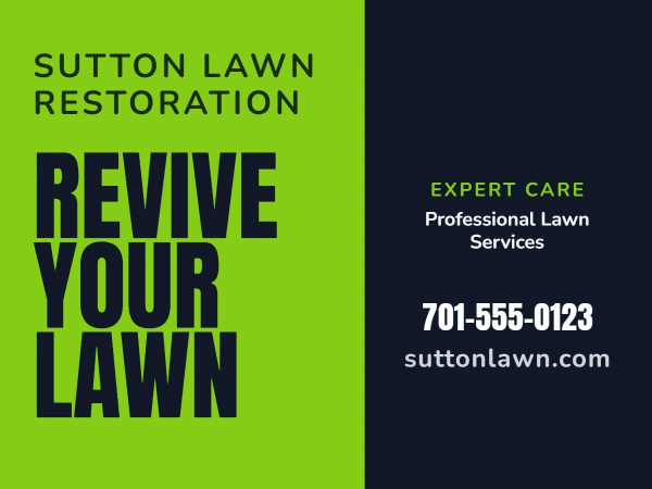 Fertilizing Lawn Care