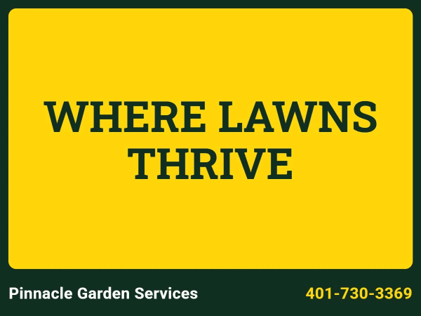 Fertilizing Lawn Care