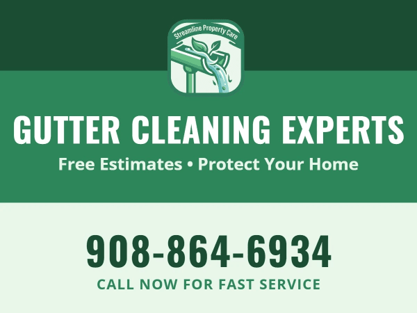 Free Estimate Gutter Cleaning