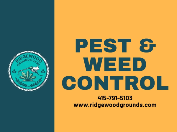 Free Estimates Pest & Weed Control