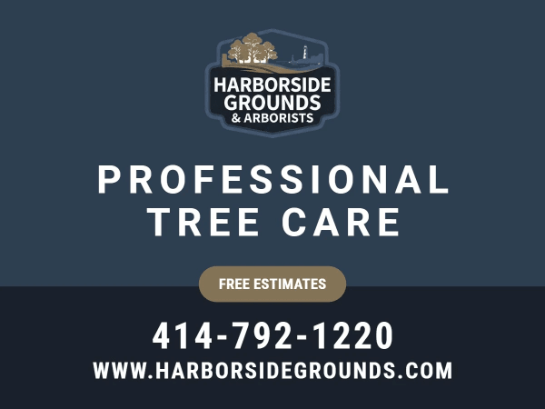 Free Estimates Tree Service