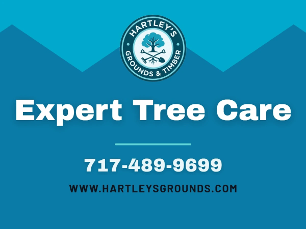 Free Estimates Tree Service