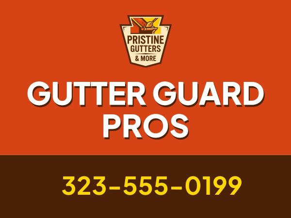 Gutter Guard Installation Gutter Cleaning