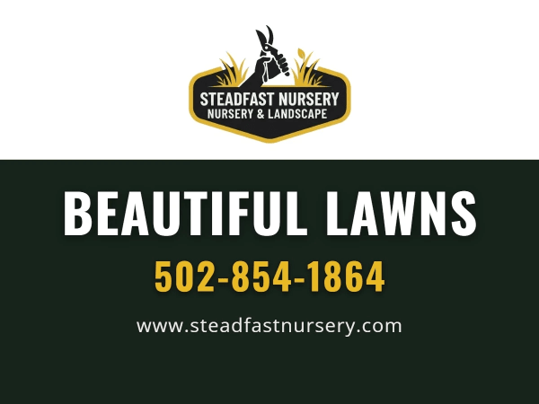Lawn Care