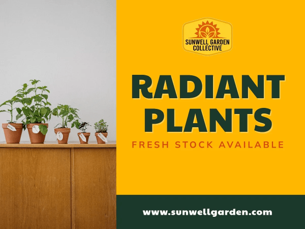 New Arrivals Garden Center