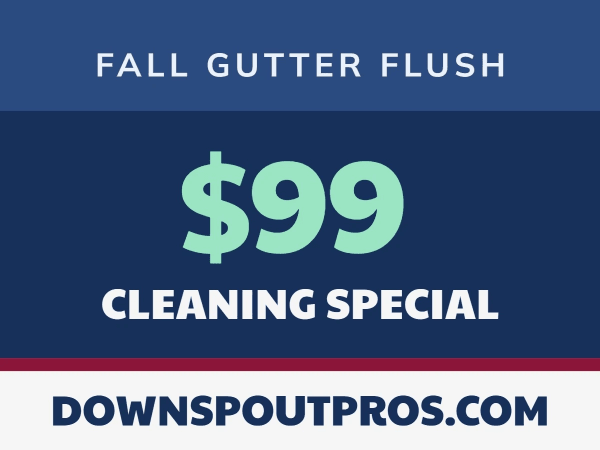Seasonal Promotion Gutter Cleaning