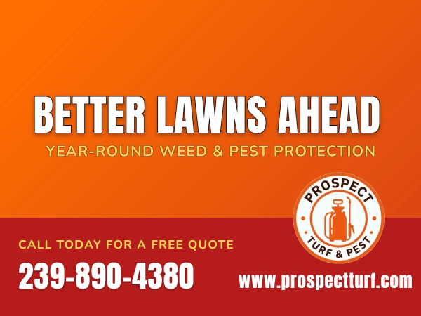 Seasonal Promotion Pest & Weed Control