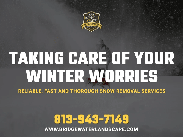 Snow Removal Landscaping