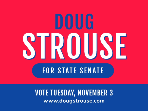 State Senator Campaign