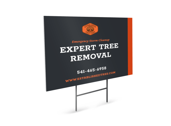Storm Damage Tree Service