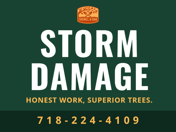 Storm Damage Tree Service