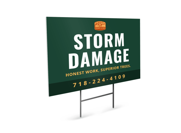 Storm Damage Tree Service