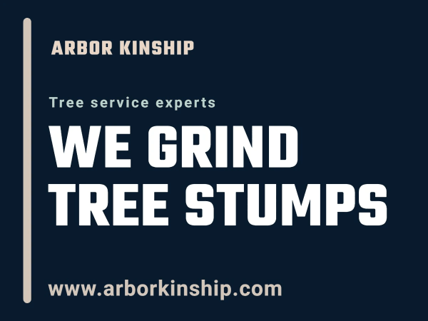 Stump Grinding Tree Service